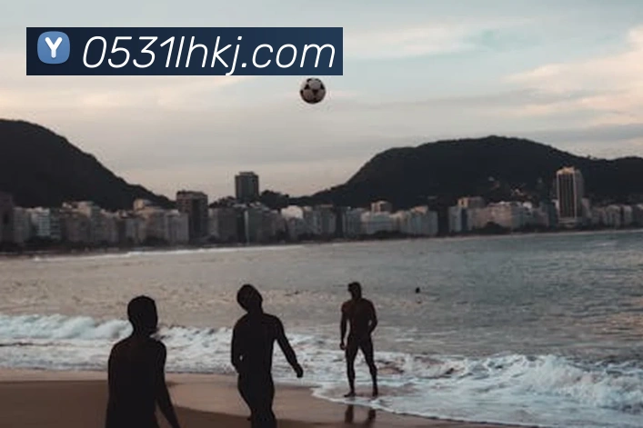 数据分析功能